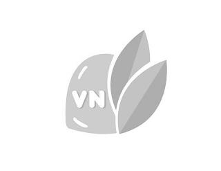 VN trademark