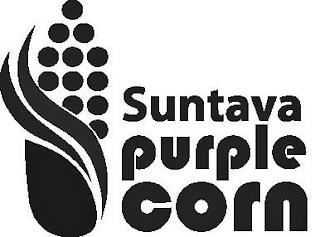 SUNTAVA PURPLE CORN trademark