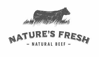 NATURE'S FRESH NATURAL BEEF trademark