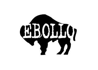 EBOLLO trademark