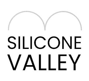 SILICONE VALLEY trademark