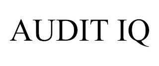 AUDIT IQ trademark