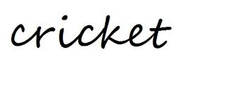 CRICKET trademark