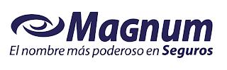 MAGNUM EL NOMBRE MÁS PODEROSO EN SEGUROS trademark