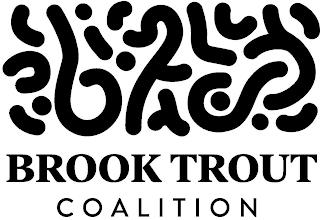 BROOK TROUT COALITION trademark