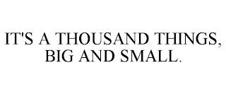 IT'S A THOUSAND THINGS, BIG AND SMALL. trademark