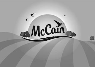 MCCAIN trademark