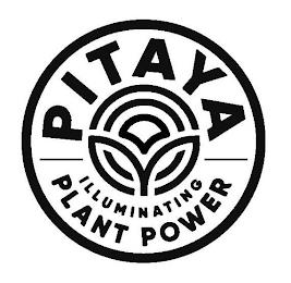 PITAYA ILLUMINATING PLANT POWER trademark