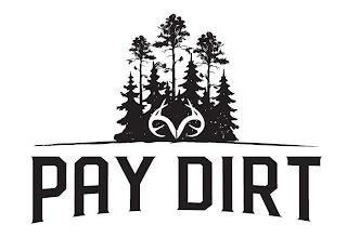 PAY DIRT trademark