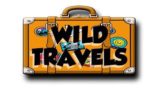 WILD TRAVELS trademark