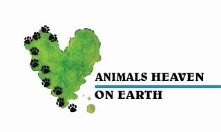 ANIMALS HEAVEN ON EARTH trademark