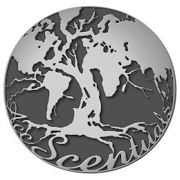 ACCSCENTUALS trademark