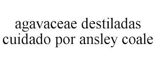 AGAVACEAE DESTILADAS CUIDADO POR ANSLEYCOALE trademark