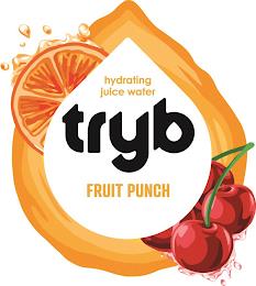 HYDRATING JUICE WATER TRYB FRUIT PUNCH trademark