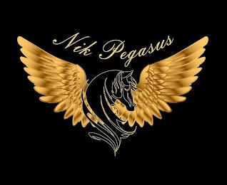 NIK PEGASUS trademark