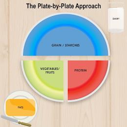 THE PLATE-BY-PLATE APPROACH DAIRY GRAIN/ STARCHES VEGETABLES /FRUITS PROTEIN FATS trademark