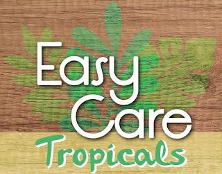 EASY CARE TROPICALS trademark