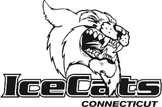 ICECATS CONNECTICUT trademark