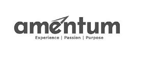 AMENTUM EXPERIENCE | PASSION | PURPOSE trademark