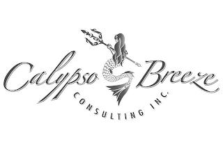 CALYPSO BREEZE CONSULTING INC. trademark