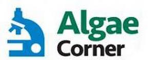 ALGAE CORNER trademark