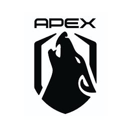 APEX trademark