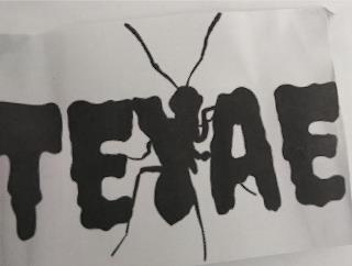 TEYAE trademark