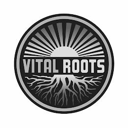 VITAL ROOTS trademark