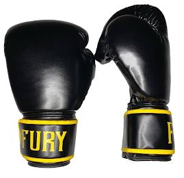 FURY trademark