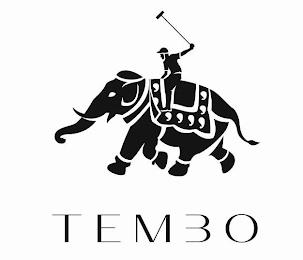 TEMBO trademark