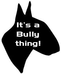 IT'S A BULLY THING! trademark