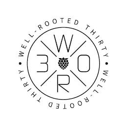 WELL-ROOTED THIRTY WELL ROOTED THIRTY WR 30 trademark