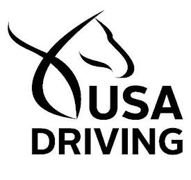 USA DRIVING trademark