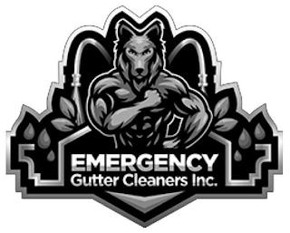 EMERGENCY GUTTER CLEANERS INC. trademark