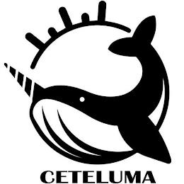 CETELUMA trademark