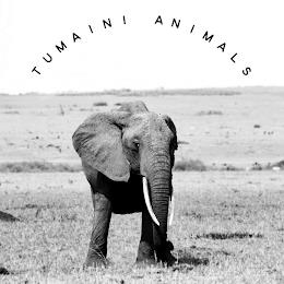 TUMAINI ANIMALS trademark