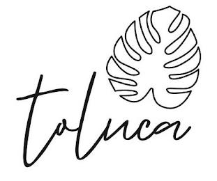 TOLUCA trademark