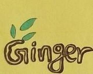 GINGER trademark