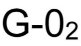 G-O2 trademark