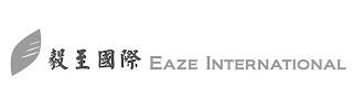 EAZE INTERNATIONAL trademark