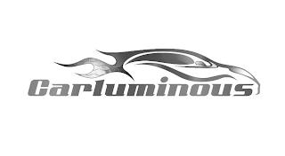 CARLUMINOUS trademark