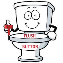 FLUSH BUTTON trademark