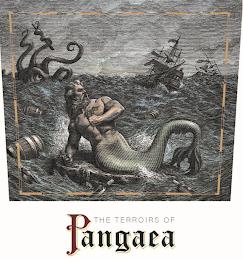 THE TERROIRS OF PANGAEA trademark