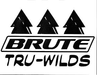 BRUTE TRU-WILDS trademark