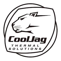 COOLJAG THERMAL SOLUTIONS trademark