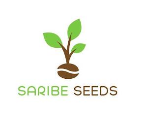 SARIBE SEEDS trademark