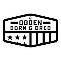 OGDEN BORN & BRED trademark