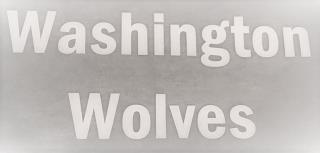 WASHINGTON WOLVES trademark