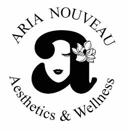 A ARIA NOUVEAU AESTHETICS & WELLNESS trademark