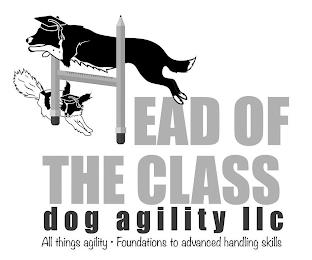 HEAD OF THE CLASS DOG AGILITY LLC ALL THINGS AGILITY · FOUNDATIONS TO ADVANCED HANDLING SKILLS trademark